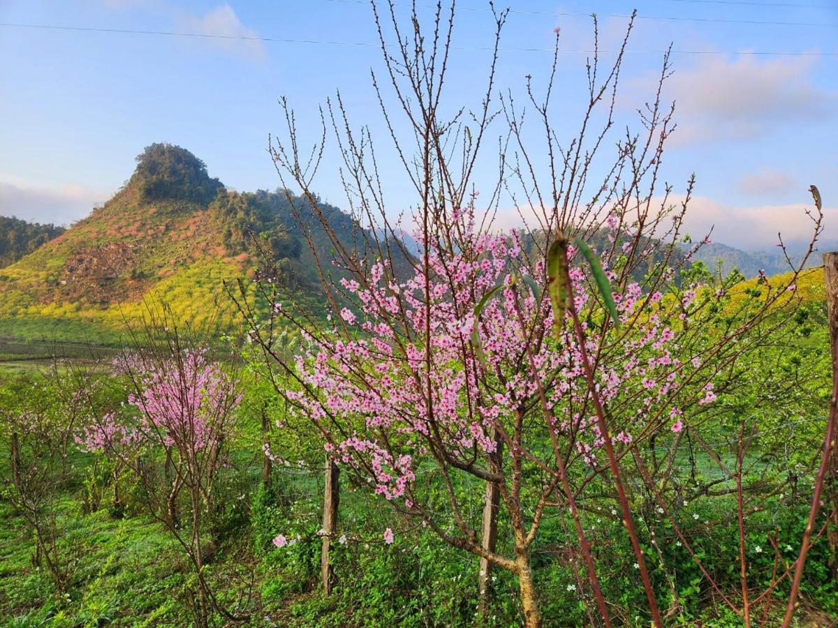 Moc Chau Peachy Garden Lägenhet Exteriör bild