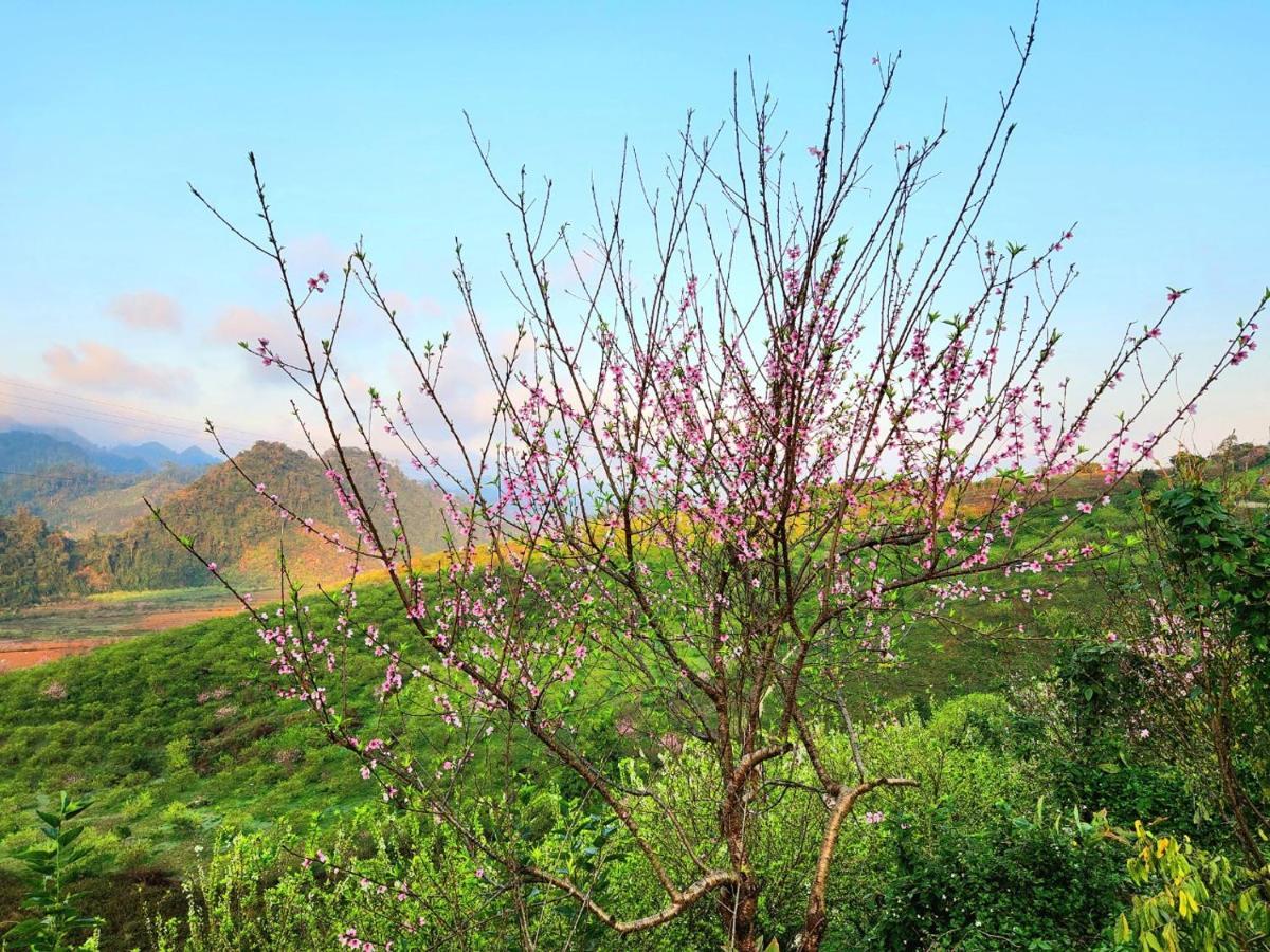 Moc Chau Peachy Garden Lägenhet Exteriör bild