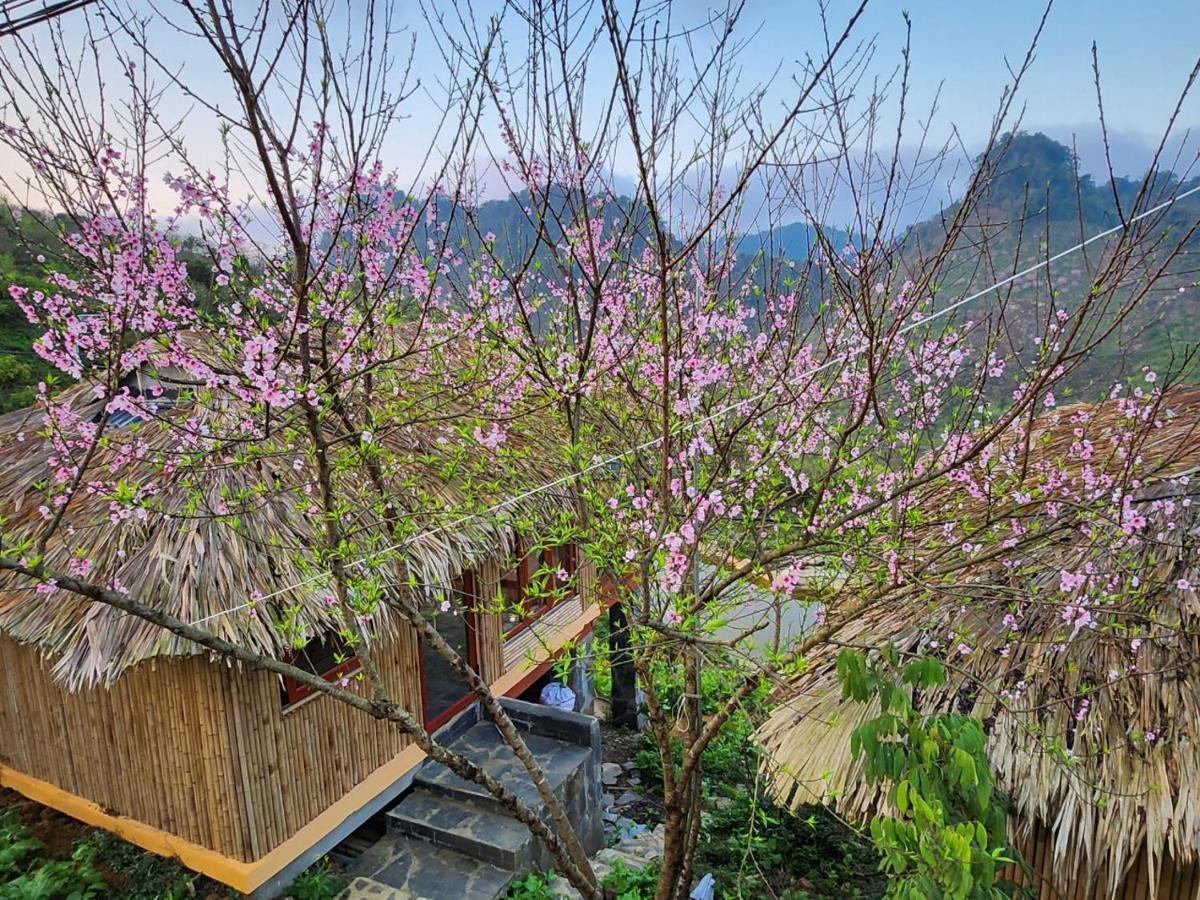 Moc Chau Peachy Garden Lägenhet Exteriör bild