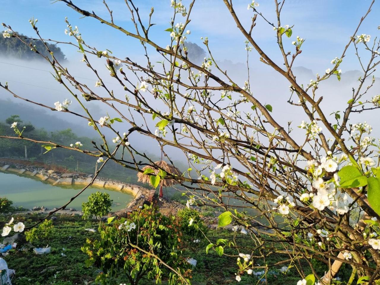 Moc Chau Peachy Garden Lägenhet Exteriör bild
