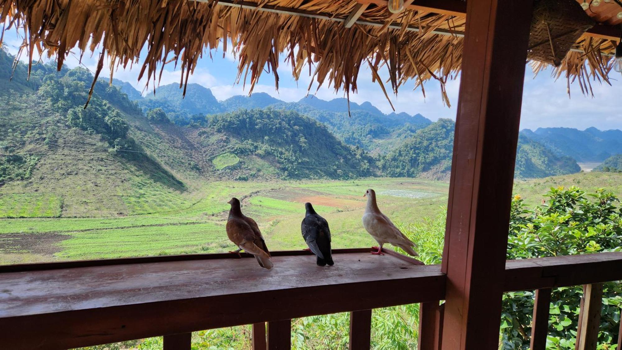 Moc Chau Peachy Garden Lägenhet Rum bild